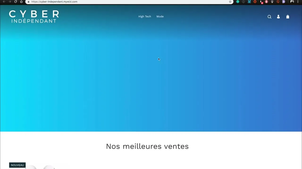 Personnalisation et configuration de la boutique Dropizi